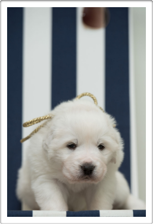 Capture One Session0384_1